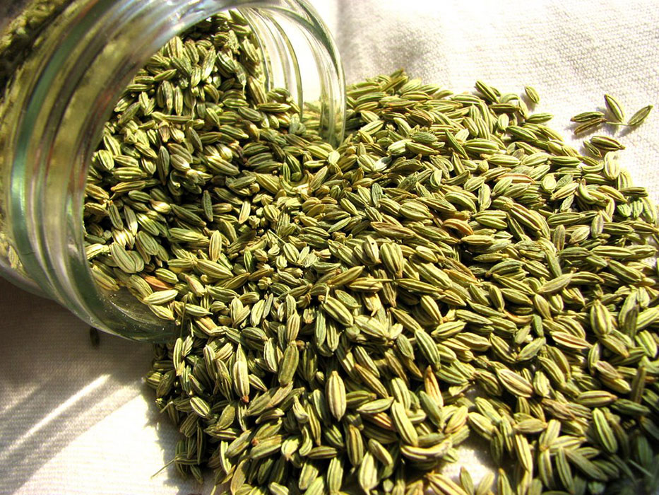 Fennel Seeds - Spices & Premix 200gm - Image 2