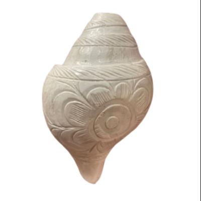 Large Authentic Blowing Shankh - Sacred White Conch Shell Instrument for Temple Aarti and Positive Energy