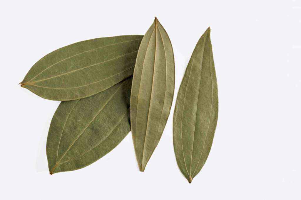 Bay Leaves